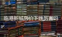 臨港新城房價下跌厲害嗎（臨港新城房價）