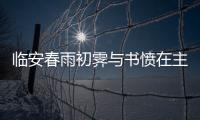 臨安春雨初霽與書憤在主旨情感上的差異 書憤臨安春雨初霽情感對比
