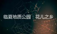 臨夏地質公園：花兒之鄉的地質之美