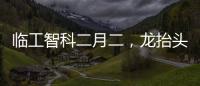 臨工智科二月二，龍?zhí)ь^，鴻運(yùn)當(dāng)頭照九州！