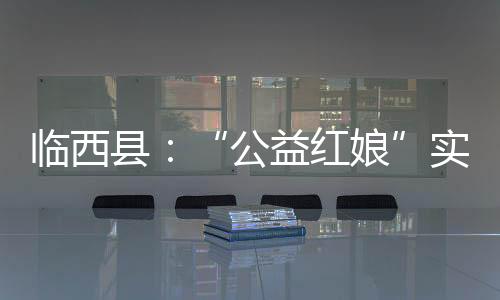 臨西縣：“公益紅娘”實現(xiàn)村莊全覆蓋