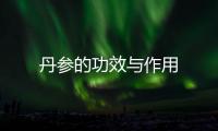 丹參的功效與作用