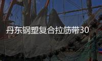 丹東鋼塑復合拉筋帶30020B施工方案
