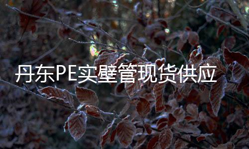 丹東PE實壁管現貨供應