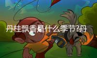 丹桂飄香是什么季節?丹桂花在9