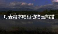丹麥哥本哈根動物園熊貓館設計方案亮相（組圖）
