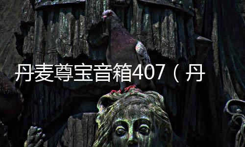 丹麥尊寶音箱407（丹麥尊寶音箱）