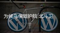 為候鳥保駕護航 北斗衛星助力生態保護