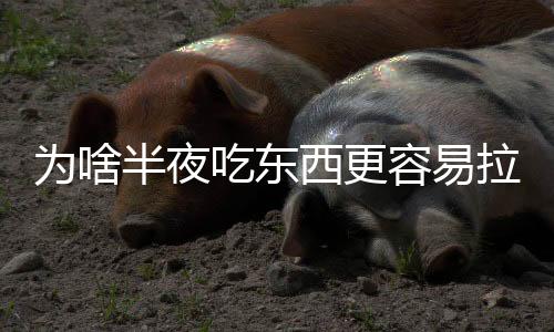 為啥半夜吃東西更容易拉肚子？《細(xì)胞》新研究找到了原因