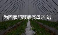 為回家照顧癱瘓母親 逃犯十年后自首