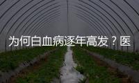 為何白血病逐年高發？醫生：多半與這6個致癌因素有關，需遠離！