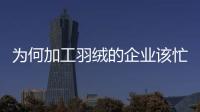為何加工羽絨的企業該忙卻不忙？【綜合】風尚中國網