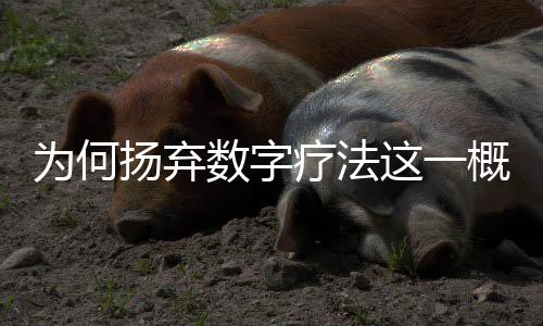 為何揚(yáng)棄數(shù)字療法這一概念？