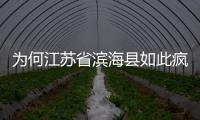 為何江蘇省濱海縣如此瘋狂造城，激進狂奔的濱海與濱海縣城市格局
