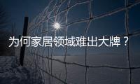 為何家居領域難出大牌？