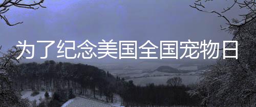 為了紀念美國全國寵物日，Spotify將推出播放列表
