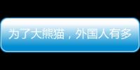 為了大熊貓，外國人有多“卑微”？