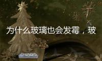 為什么玻璃也會發霉，玻璃保養應當注意些什么？,玻璃技術