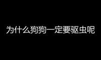 為什么狗狗一定要驅蟲呢？狗為什么要驅蟲藥
