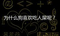 為什么狗喜歡吃人屎呢？為什么狗喜歡吃人屎粑粑呢