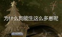 為什么狗能生這么多崽呢？為什么狗能生這么多崽兒