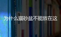 為什么貓砂盆不能放在這5個地方？貓咪不樂意，鏟屎官也會心累
