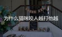 為什么貓咪咬人越打他越咬(貓咪為什么喜歡咬主人的手)