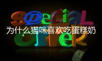 為什么貓咪喜歡吃蛋糕奶油(貓咪為什么喜歡吃塑料袋)