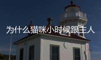 為什么貓咪小時候跟主人睡,長大不跟了(貓咪會忘記小時候養它的主人嗎)