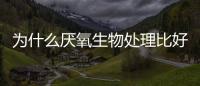 為什么厭氧生物處理比好氧生物處理對低溫更加敏感?