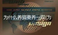 為什么養(yǎng)貓要養(yǎng)一雙(為什么說男人養(yǎng)貓為了性)