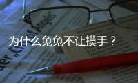 為什么兔兔不讓摸手？ 為什么不能經常摸兔子
