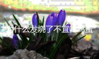 為什么發燒了不宜吃雞蛋，發燒時盡量不要吃雞蛋