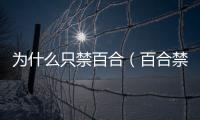 為什么只禁百合（百合禁斷）