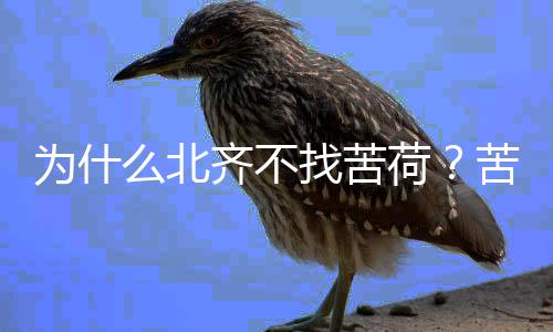 為什么北齊不找苦荷？苦荷也知道神廟秘密