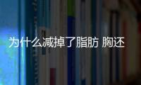 為什么減掉了脂肪 胸還是那么大