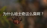 為什么哈士奇這么臭啊？哈士奇為什么這么賤