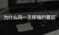 為什么同一天移植的囊胚預(yù)產(chǎn)期不一樣，正不正常看完便知