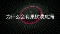為什么會(huì)有果樹潰瘍病