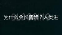 為什么會長智齒？人類進化的殘余物