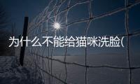 為什么不能給貓咪洗臉(為什么每天洗臉都能搓出泥)
