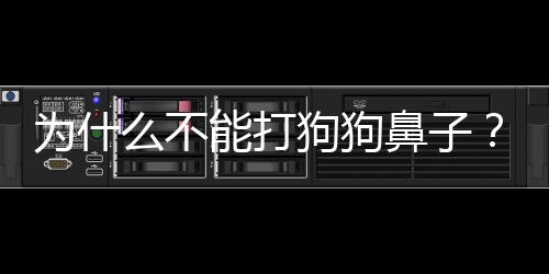 為什么不能打狗狗鼻子？為什么不能打狗狗的嘴巴