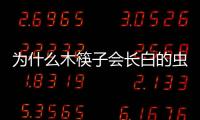 為什么木筷子會長白的蟲子 因為長期處在潮濕的環境下