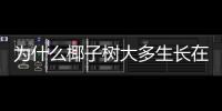 為什么椰子樹大多生長在海邊（椰子樹生長特點介紹）