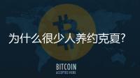為什么很少人養約克夏? 約克夏吧百度貼吧