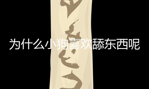 為什么小狗喜歡舔東西呢？為什么小狗喜歡舔東西的原因