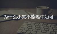 為什么小狗不能喝牛奶可以喝羊奶？為什么小狗不能喝牛奶呢