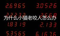 為什么小貓老咬人怎么辦呢？為什么小貓老是咬人