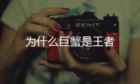 為什么巨蟹是王者