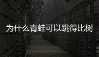 為什么青蛙可以跳得比樹高打一數字（為什么青蛙可以跳得比樹高）